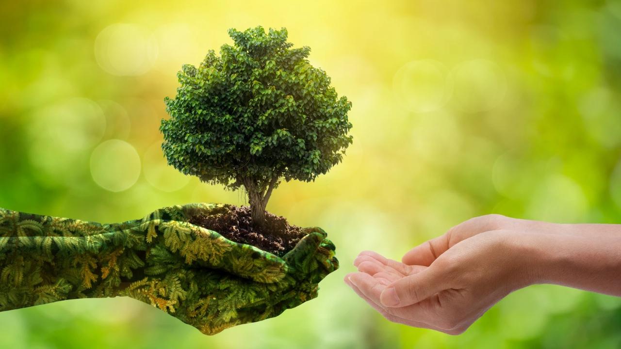 नेपालले कार्बन बिक्रीबाट प्राप्त गर्दैछ एक अर्ब ६० करोड, ‘लिफ कोलिजन’मा सम्झौता गर्दै