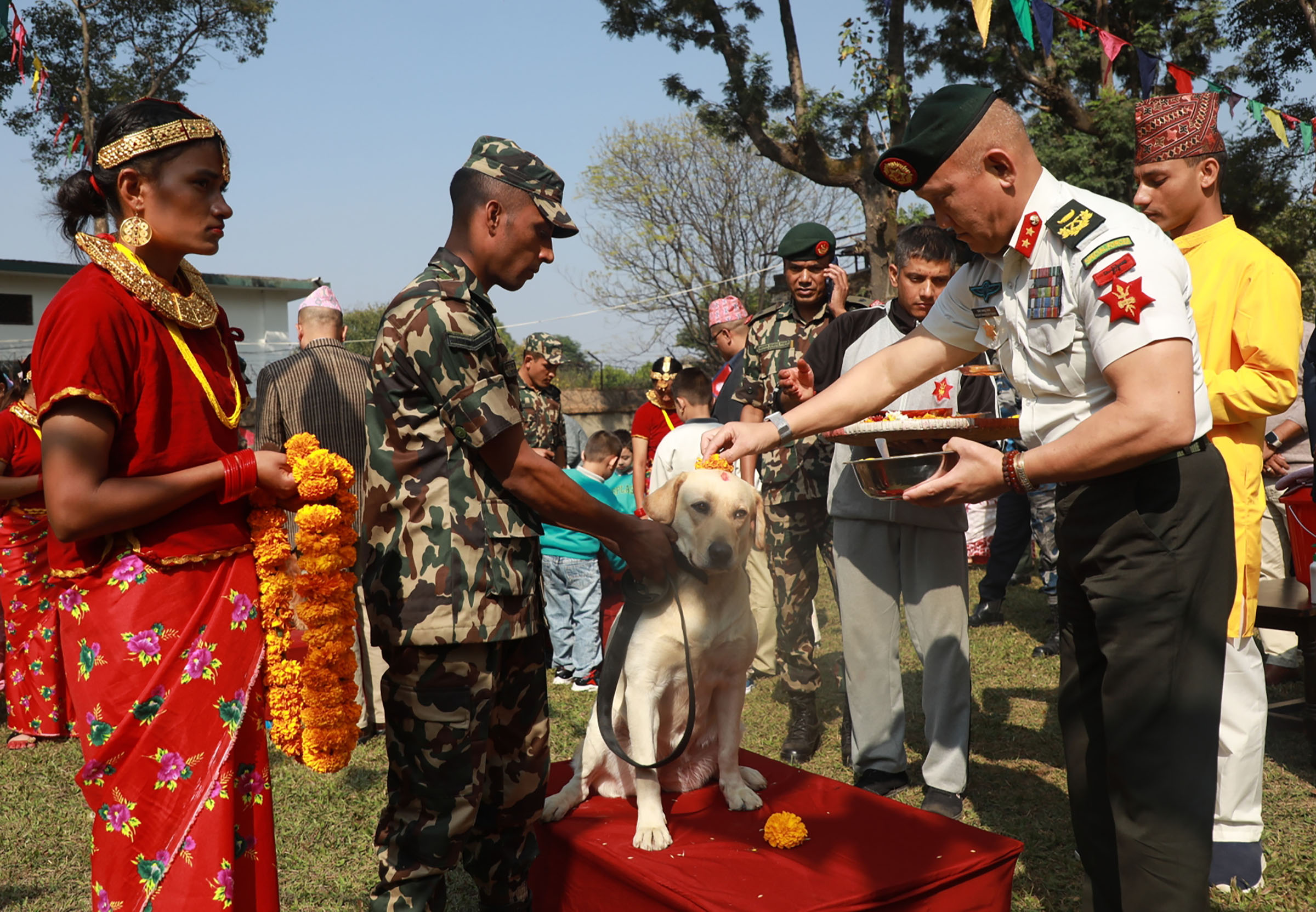 सेनाको भैरवबहान गुल्ममा यसरी मनाइयो कुकुर तिहार(फोटोफिचर)