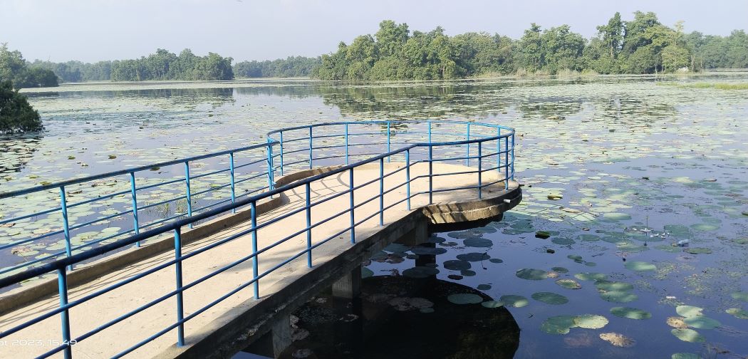 घोडाघोडीमा आन्तरिक पर्यटकको चहलपहल बढ्यो