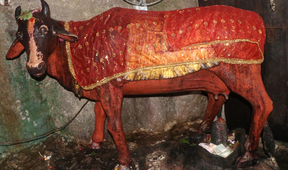 गुप्तेश्वर गुफाको आम्दानीको स्रोत ‘कामधेनु गाई’
