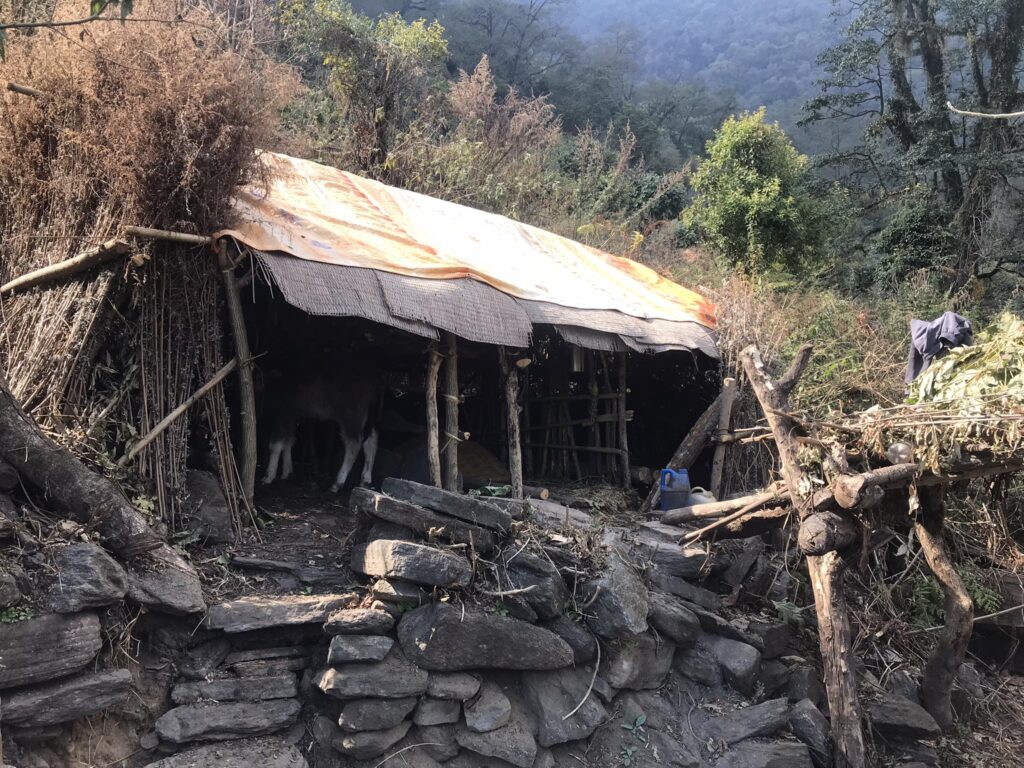 खर्क’ व्यवस्थापन रणनीति तयार गर्दै कर्णाली