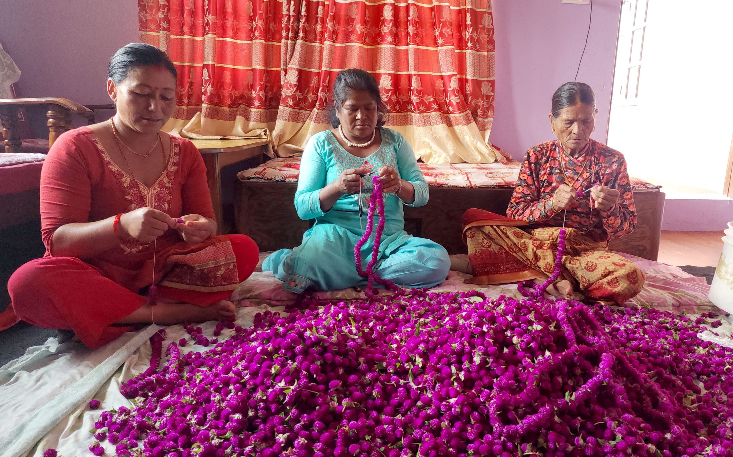 गुन्डुका महिलालाई मखमली फूलको माला उन्न भ्याईनभ्याई
