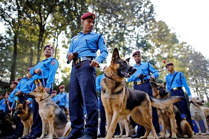 चाडपर्वमा सुरक्षाका लागि एक हजार प्रहरीसहित तालिमप्राप्त कुकुर परिचालन