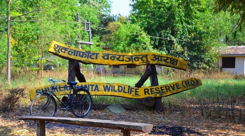शुक्लाफाँटा निकुञ्जमा पर्यटकका लागि जङ्गल सफारी खुला