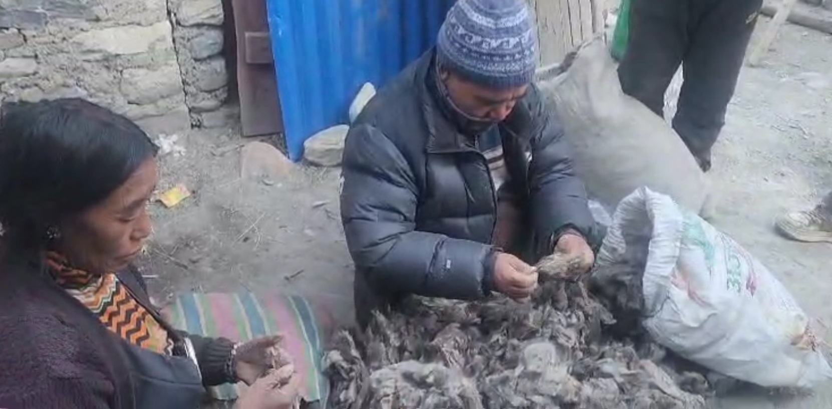 कच्चा पदार्थको आयात घटाउने प्रयासमा पश्मिना उद्योगी