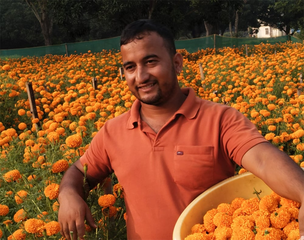 २४ वर्षीय युवाको लोभलाग्दो व्यावसायिक फूलखेती
