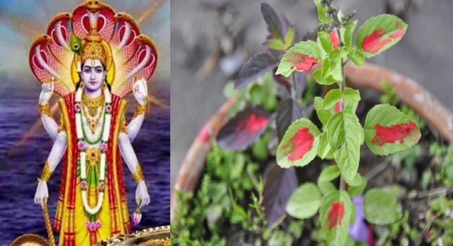 २५ वर्षपछि बागलुङको निरयघाटमा हरिबोधनी एकादशी मेला हुँदै