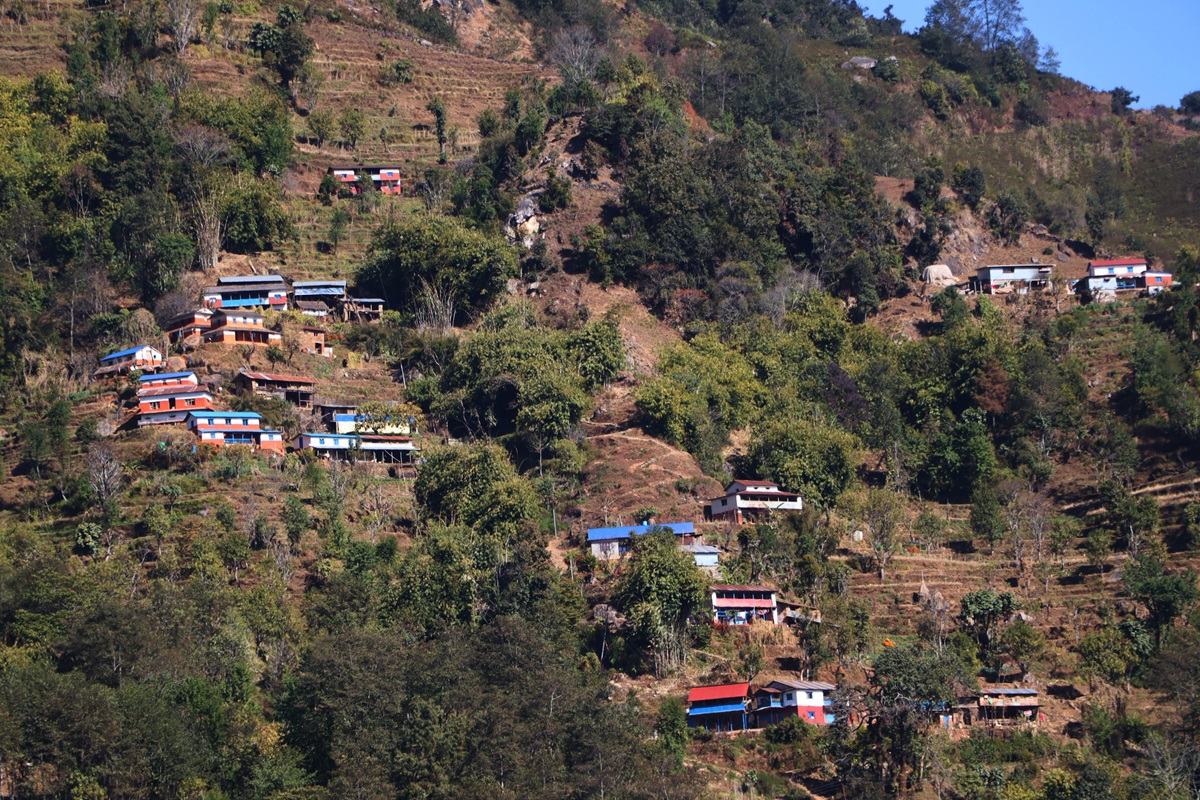 गाउँले सुविधा खोज्दै शहरमा, बस्तीमा वन्यजन्तुको रजाइँ’