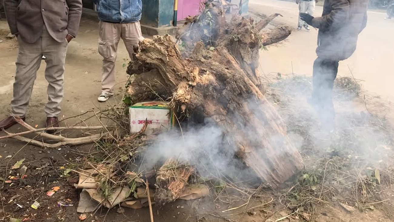 चिसो बढेपछि कैलालीमा दाउरा वितरण