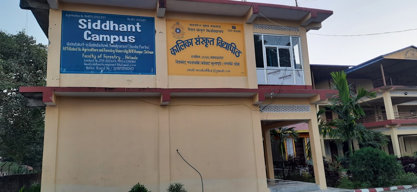 क्याम्पसको लापरबाहीले रोकियो ४९ विद्यार्थीको नतिजा