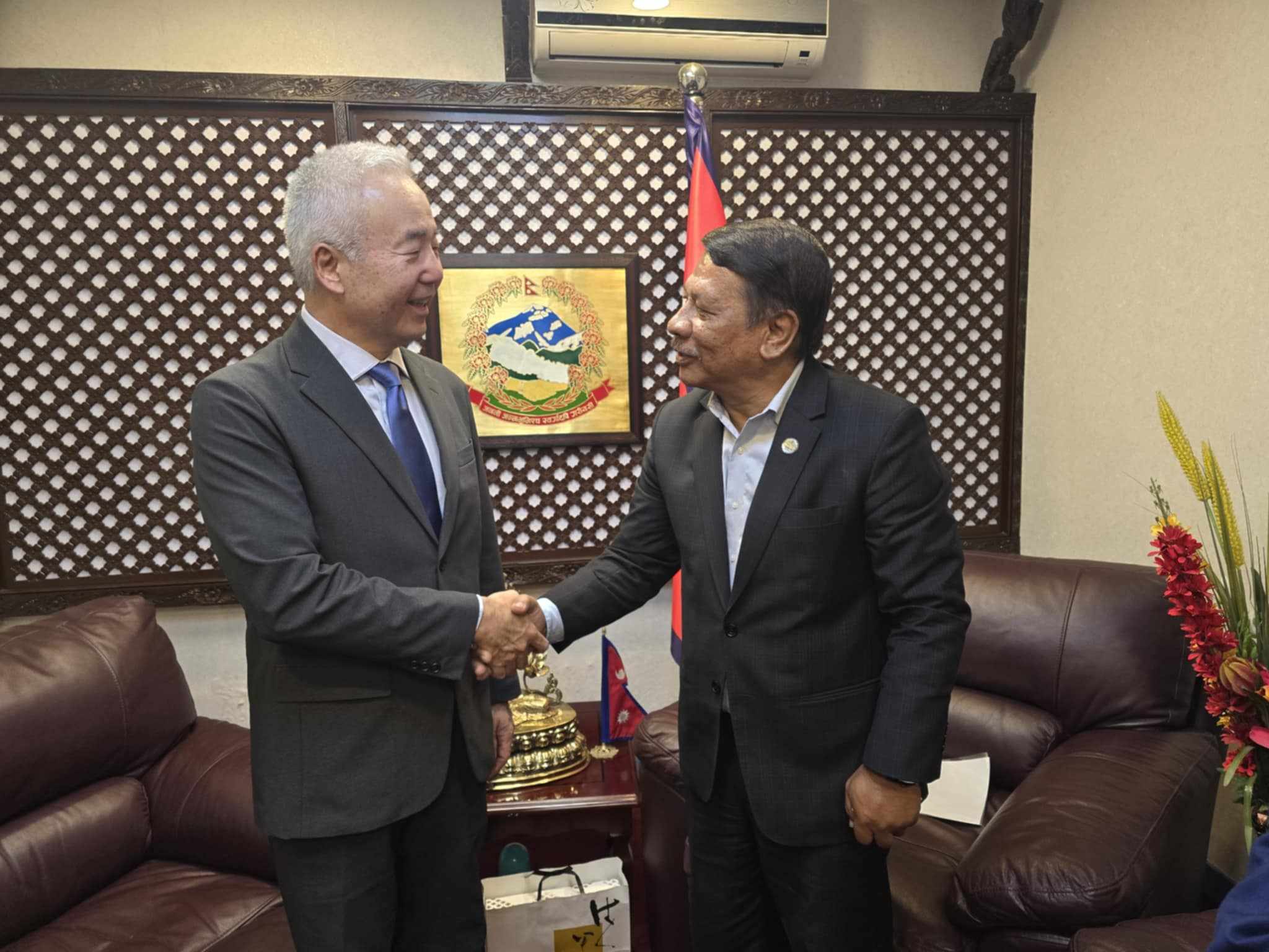 उपप्रधानमन्त्री सिंहसँग जापानी राजदूतको भेट