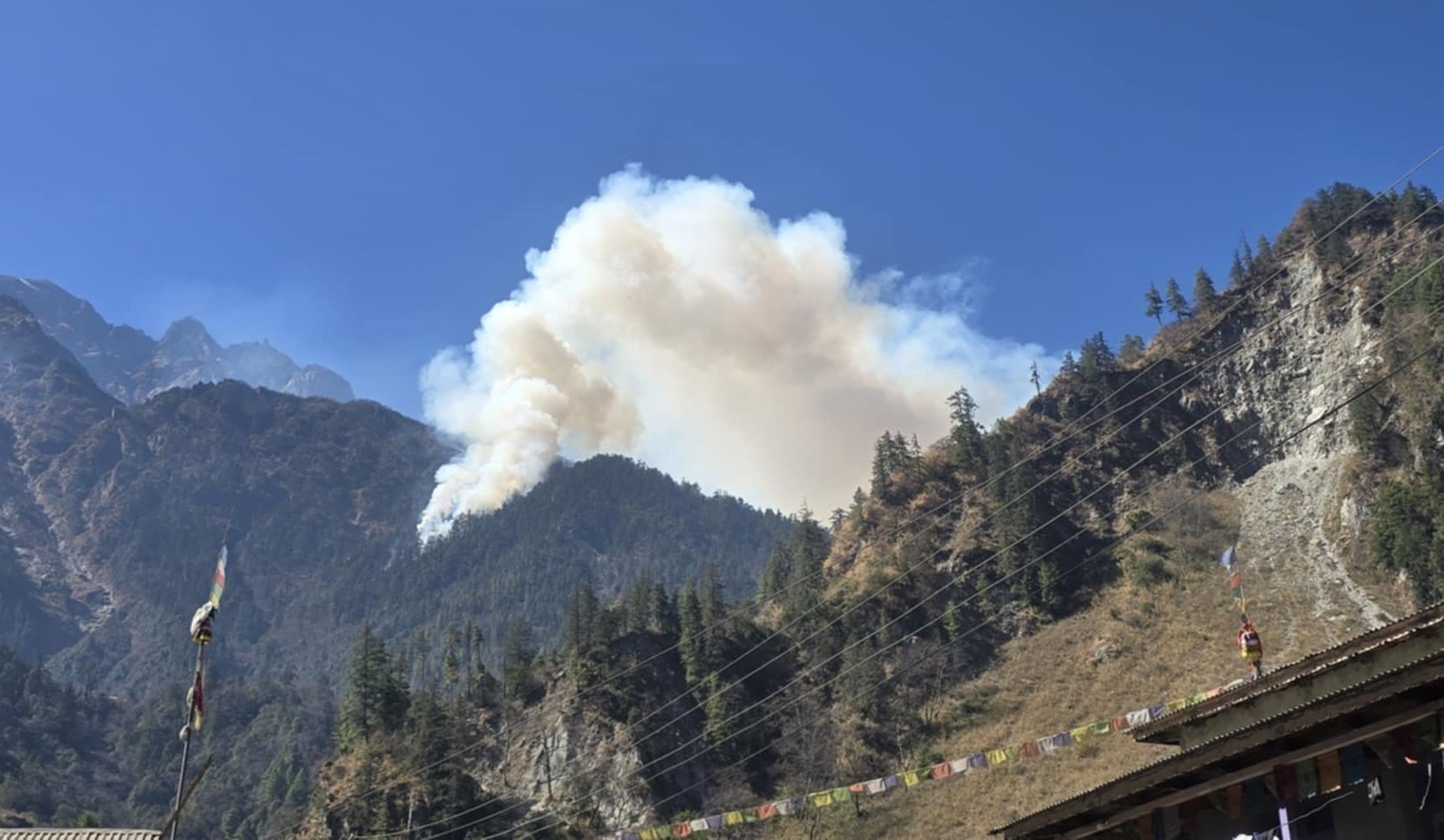 तिमाङको जङ्गलमा लागेको आगो अझै निभाउन सकिएन