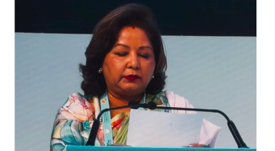 भारतमा भएको विमान दुर्घटनामा परराष्ट्रमन्त्री राणाद्वारा दुःख व्यक्त