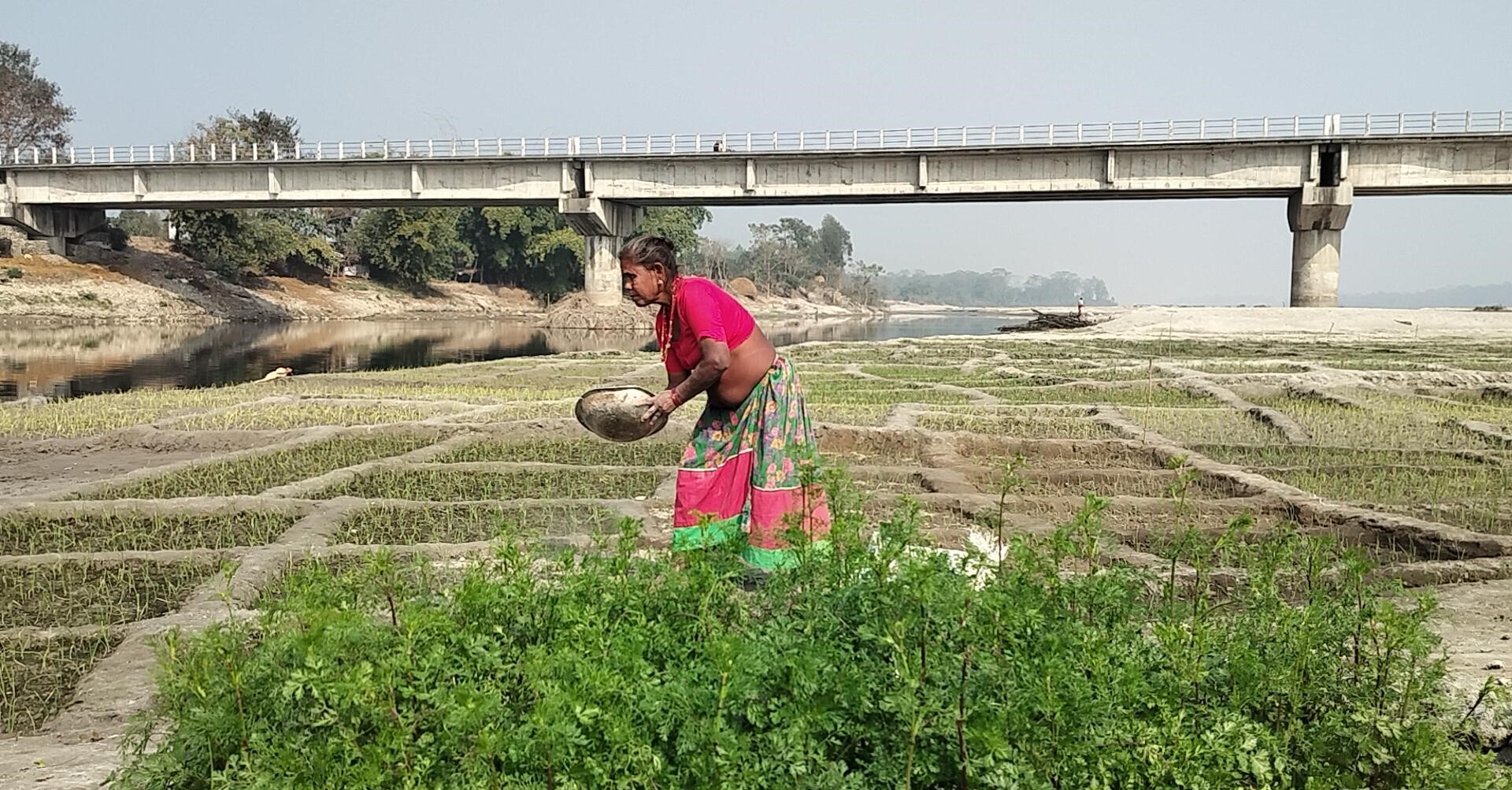 बगरखेतीले फेरिँदै फाँटाका किसानको जीवन