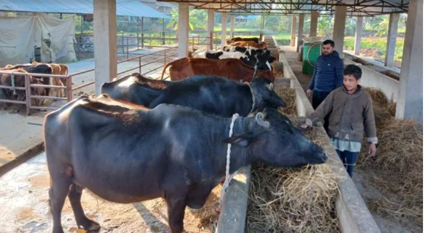 युवालाई व्यवसायमा खुड्किलो चढ्ने माध्यम बन्यो ‘ब्याज अनुदान’