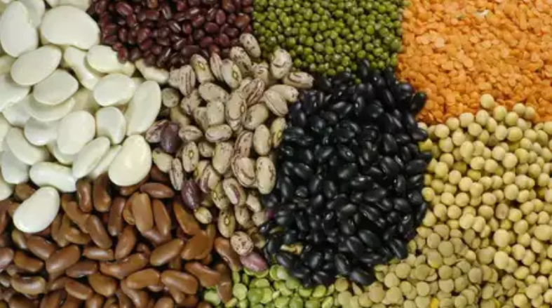 आज अन्तरराष्ट्रिय दाल दिवस, अरबी चितुवा दिवस पनि आजै