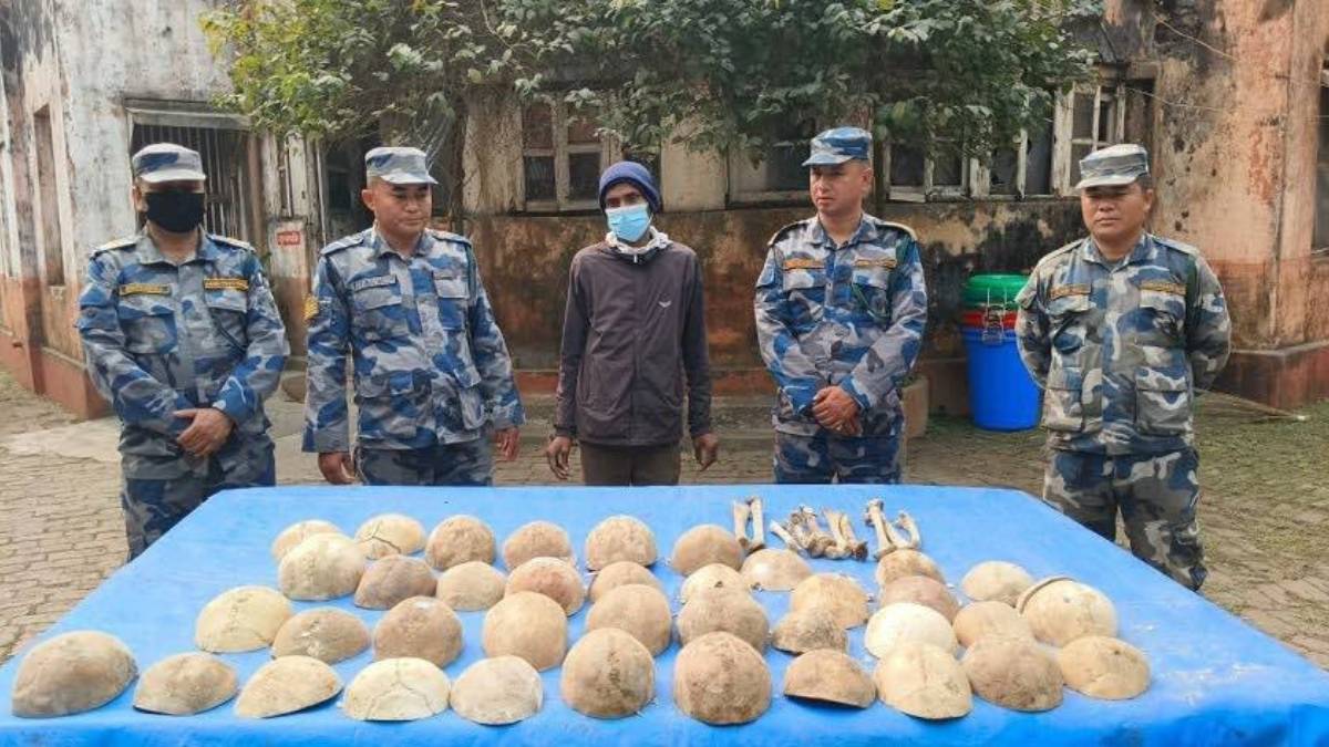 ३८ वटा मानव खप्परसहित विराटनगरबाट एक जना पक्राउ
