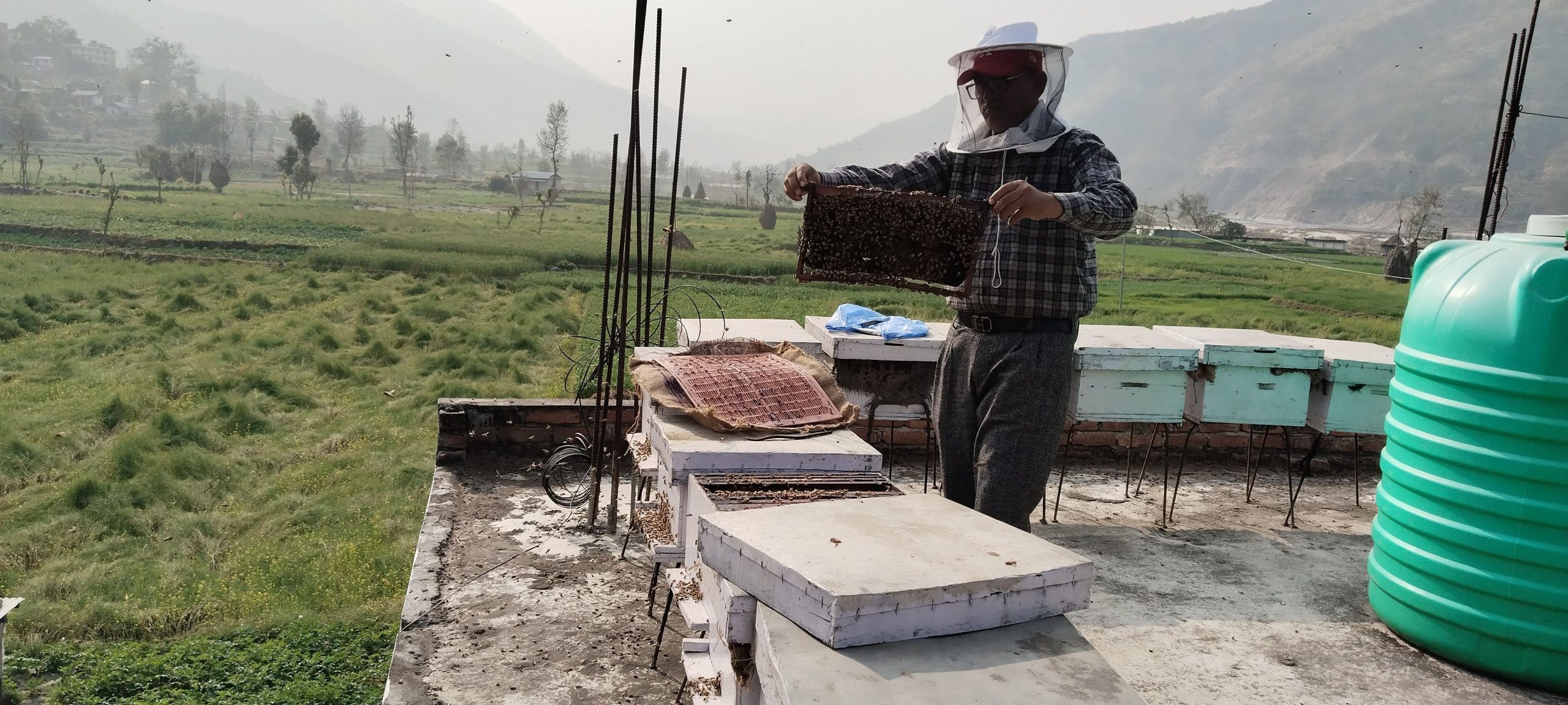 रामेछापमा फस्टाउँदै व्यावसायिक माहुरीपालन