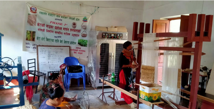 कालीगण्डकीमा केराको ‘फाइबर’बाट हस्तकलाका सामग्री