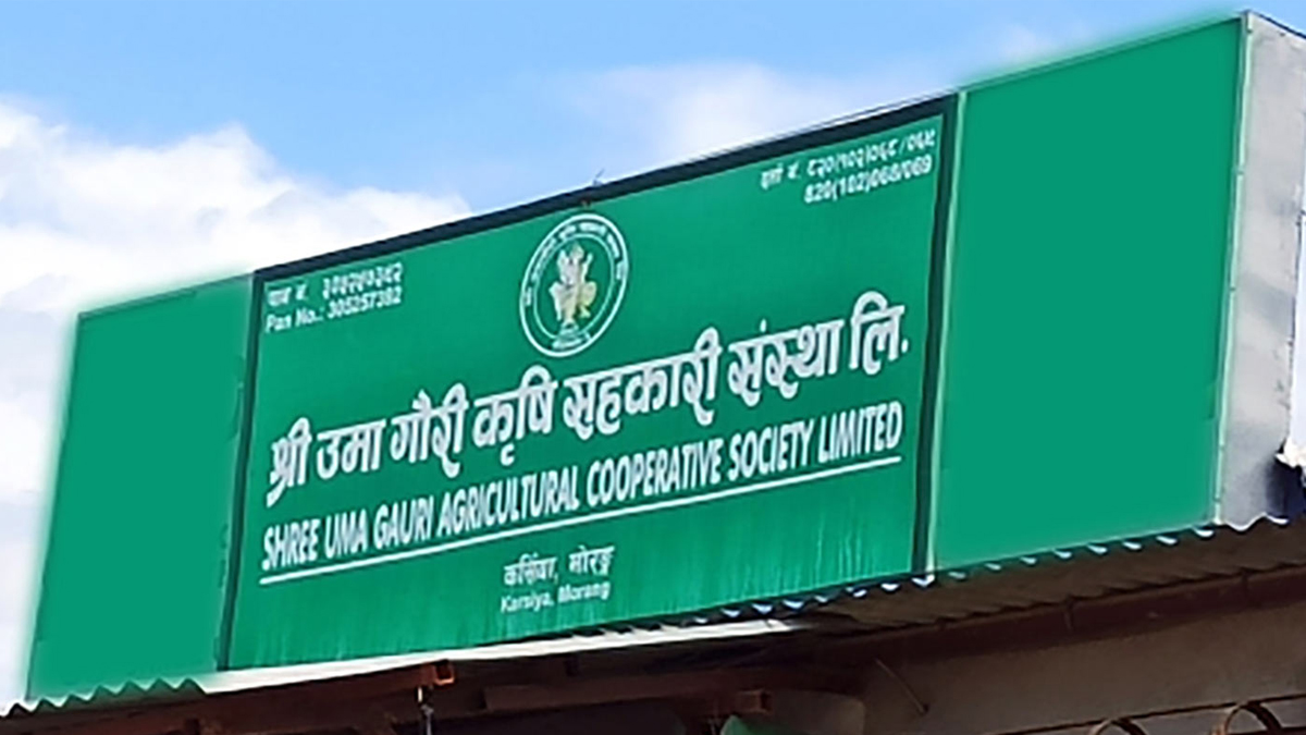 उमागौरी कृषि सहकारीका अध्यक्ष रौनियारलाई पुर्पक्षका लागि थुनामा पठाउने आदेश