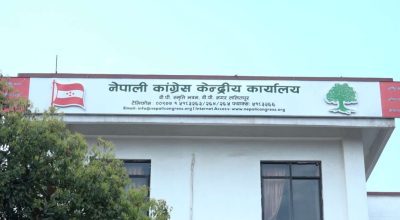 कांग्रेसको केन्द्रीय कार्यसमिति बैठक बस्दै : यी विषयमा हुनेछ छलफल