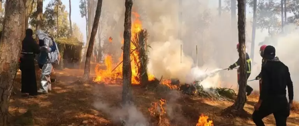 चितवन राष्ट्रिय निकुञ्जमा नियन्त्रित डढेलो लगाउने काम सुरू