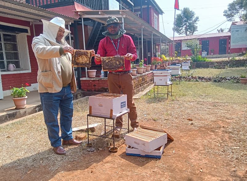 पाल्पामा वडा कार्यालयमा मौरीपालन व्यवसायको नयाँ अभ्यास
