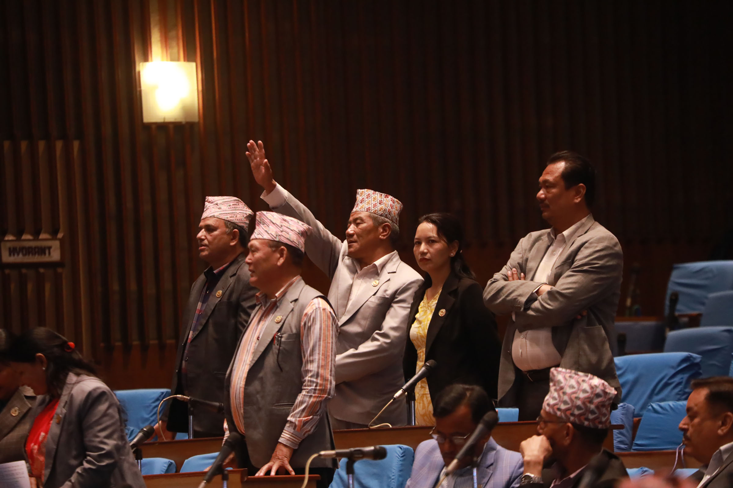 प्रतिनिधिसभाको बैठक बस्न बस्दै नबसी स्थगित, अब आइतबारका लागि बोलाइयो