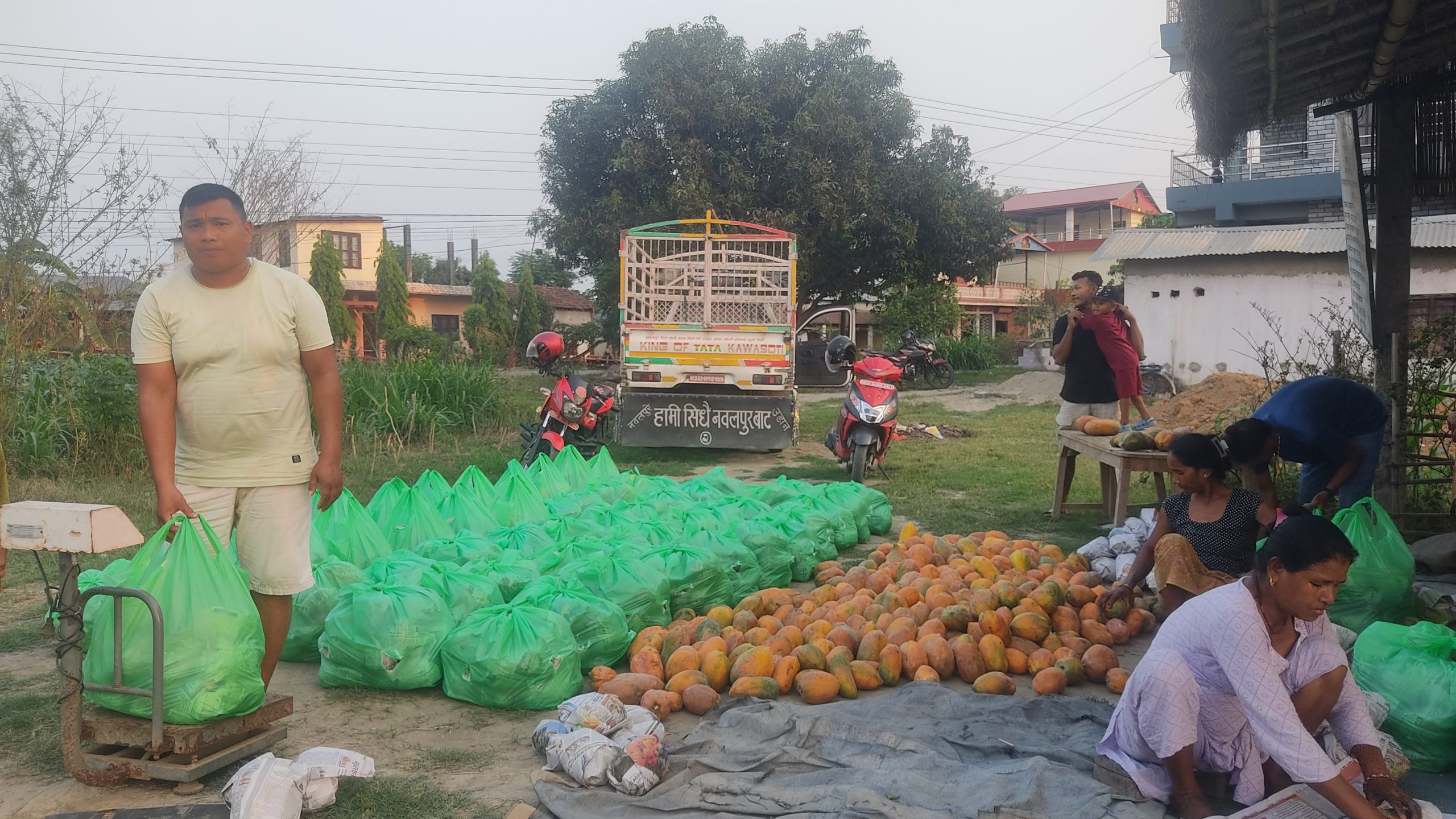कावासोतीका वडा सदस्य मीनबहादुर महतोको लोभलाग्दो मेवाखेती, वार्षिक १८ लाख आम्दानी