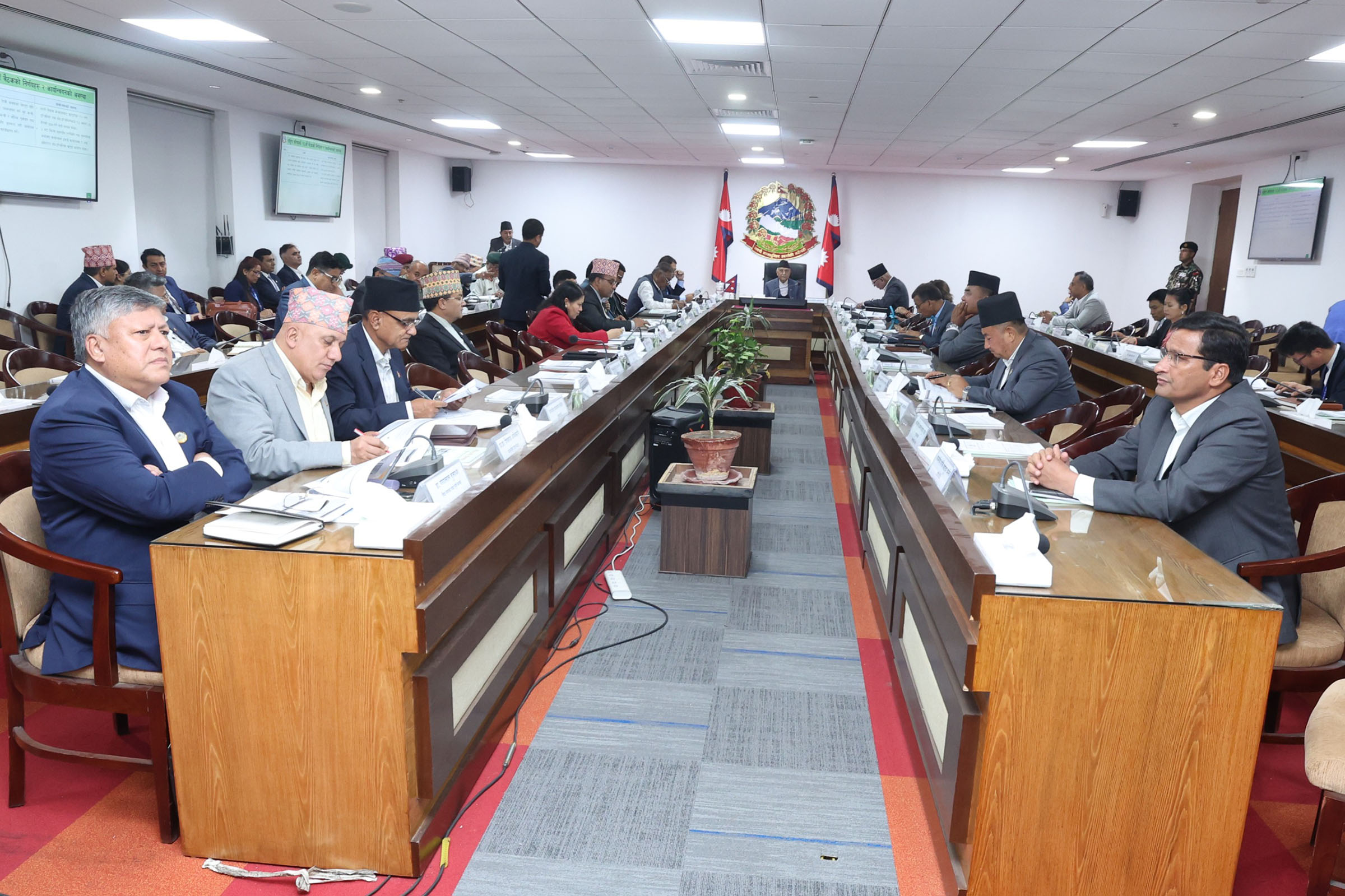 विपद् जोखिम न्यूनीकरण तथा व्यवस्थापन राष्ट्रिय परिषद्को बैठक : डढेलो रोकथाम गर्न निर्देशन