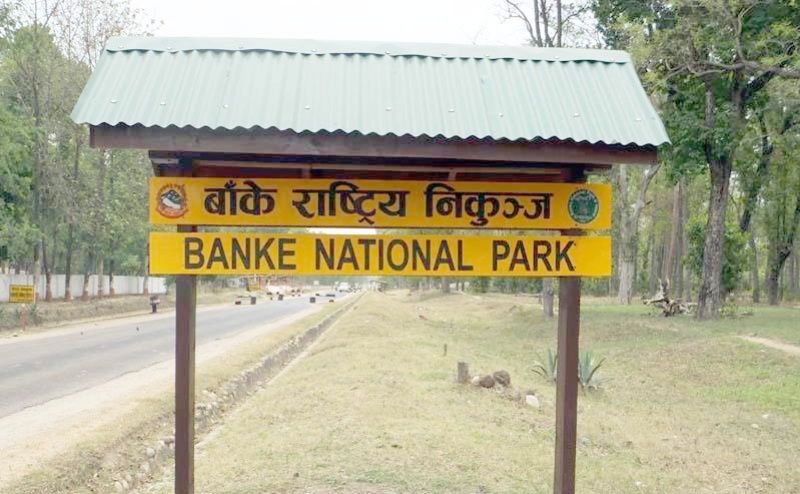 आजदेखि बाँके राष्ट्रिय निकुञ्जमा जङ्गल सफारी सुरु