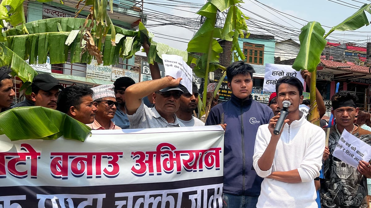 सडक निर्माणको माग गर्दै सडकमै रोपियो केराको बोट