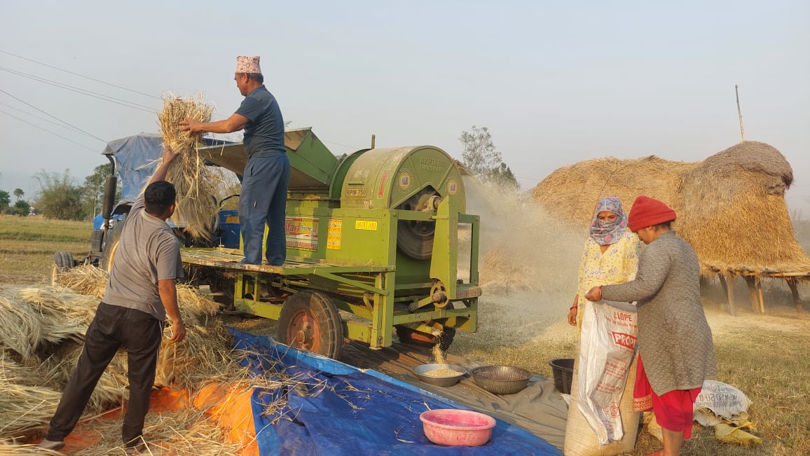 खेतीमा यन्त्रको प्रयोग बढाउँदै दाङका किसान