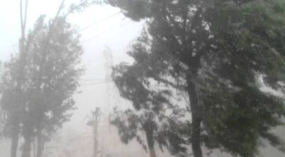 हुरी तथा चट्याङसहितको वर्षाले हिउँदे बालीमा क्षति