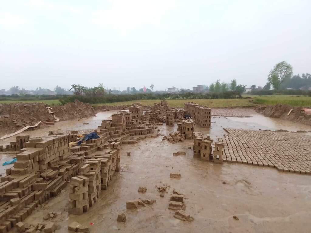 बेमौसमी वर्षाले एक करोडभन्दा बढीको इँट्टा नष्ट