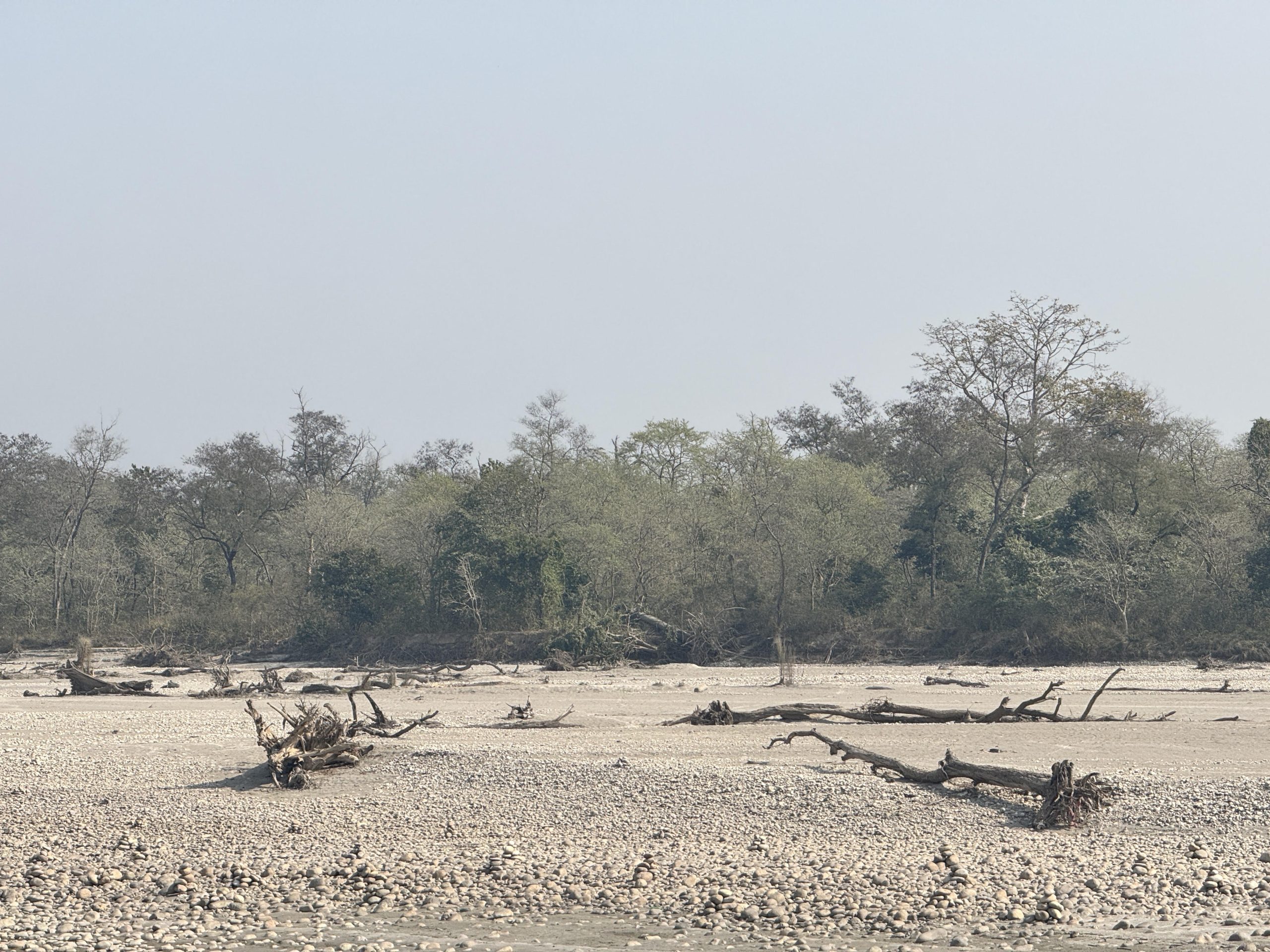 कर्णालीमा हरेक वर्ष बग्छन् करोडौँका काठ