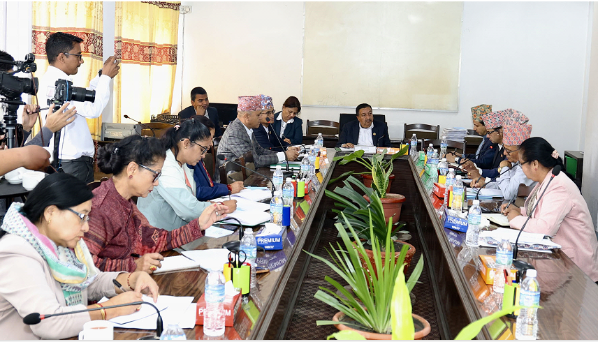 अर्थसमितिमा बाफियामाथि छलफल