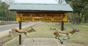 बाँके निकुञ्जमा सवारीको टाइम कार्ड घट्यो, अब २१–२४ मिनेटमै यात्रा
