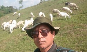 बाख्राको दूधबाट चिज बनाएर आम्दानी गर्दै आएका छन् स्याङ्जाका डिलबहादुर