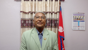 संविधान कार्यान्वयन गर्न पार्टीहरु इमान्दार हुनुपर्छ : कृष्णगोपाल श्रेष्ठ