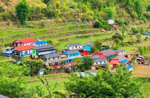 जैमिनीमा बढ्दो बसाइँसराइः दुई वर्षमा एक हजार सात सय नौले गाउँ छाडे