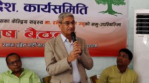 राजनितिक चेतनाको आधारमा मधेश समृद्ध भूमि  : गृहमन्त्री लेखक