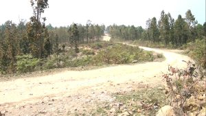 सुर्खेतबाट तराई जोड्ने मूलपानी–भुरीगाउँ सडक शिलान्यास