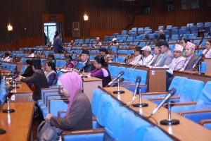 भूमिसम्बन्धी विधेयकमाथि विचार गरियोस् भन्ने प्रस्ताव सर्वसम्मतिले स्वीकृत