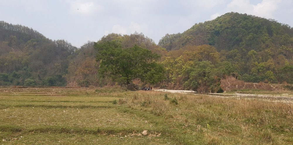 सुरौदी जलाधारः पुल नहुँदा जोखिम, कटान नियन्त्रण नहुँदा बगर