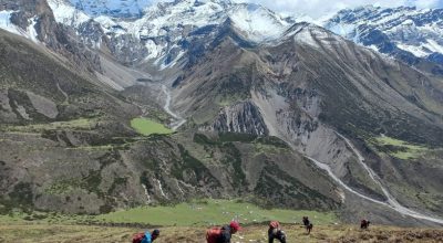यार्सा सङ्कलनका लागि मुगुका बासिन्दा पाटनतिर