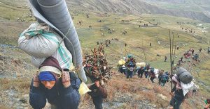 यार्सागुम्बा सङ्कलनका लागि शिक्षक–विद्यार्थी हिमालतिर, विद्यालय बन्द