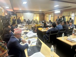 नागरिकताको विषय खुला मनले  समाधान गर्न एनआरएनएको आग्रह
