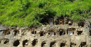 म्याग्दीमा व्यावसायिक अरिङ्गालपालन