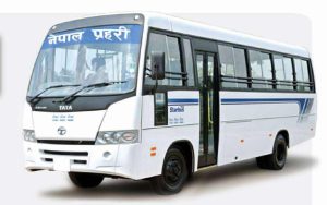 उपत्यकामा प्रहरीको निःशुल्क बस सञ्चालन